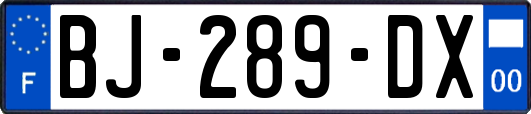 BJ-289-DX
