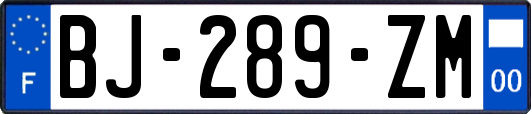BJ-289-ZM