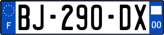 BJ-290-DX
