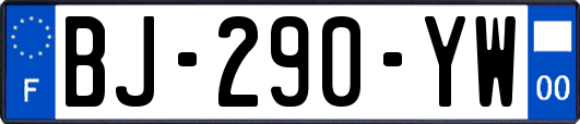 BJ-290-YW