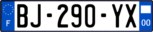 BJ-290-YX