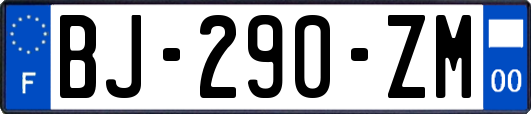BJ-290-ZM