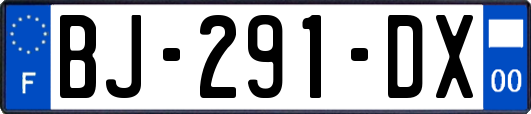 BJ-291-DX