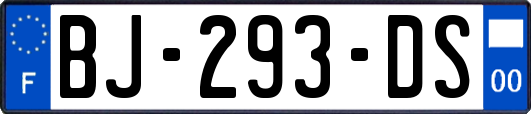 BJ-293-DS