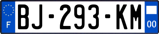 BJ-293-KM