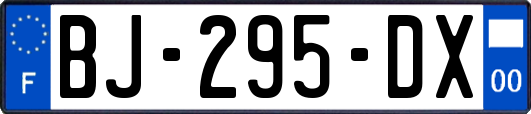 BJ-295-DX