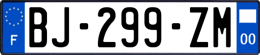 BJ-299-ZM