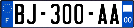 BJ-300-AA