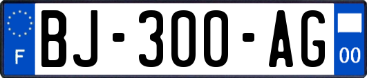 BJ-300-AG