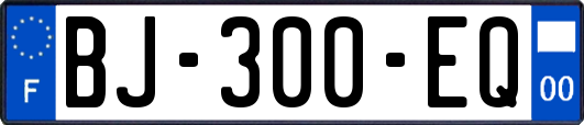 BJ-300-EQ