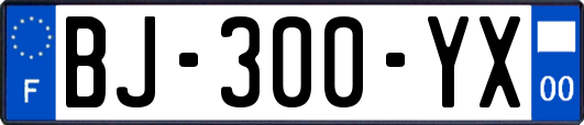 BJ-300-YX