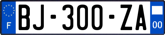 BJ-300-ZA