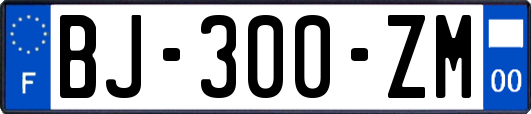 BJ-300-ZM