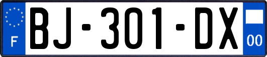 BJ-301-DX