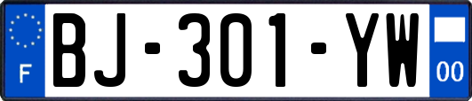 BJ-301-YW