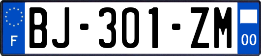 BJ-301-ZM