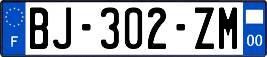 BJ-302-ZM