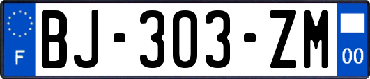BJ-303-ZM