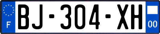 BJ-304-XH