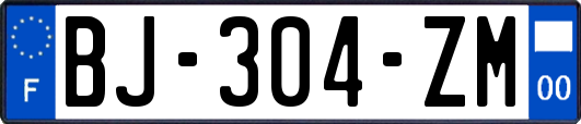 BJ-304-ZM
