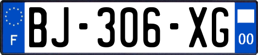 BJ-306-XG