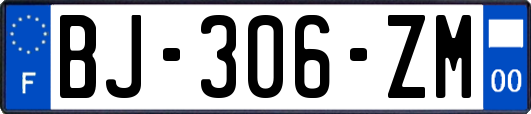 BJ-306-ZM