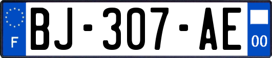 BJ-307-AE