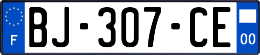 BJ-307-CE