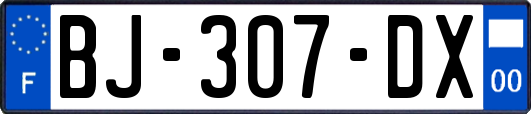 BJ-307-DX