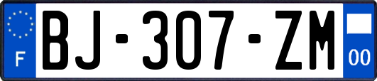 BJ-307-ZM