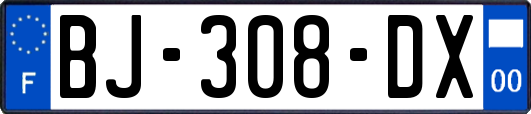 BJ-308-DX