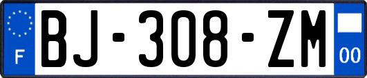 BJ-308-ZM