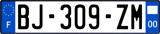 BJ-309-ZM