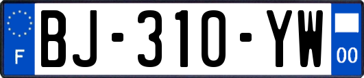 BJ-310-YW