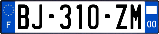 BJ-310-ZM