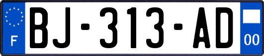 BJ-313-AD