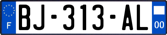 BJ-313-AL