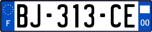 BJ-313-CE