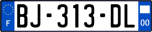 BJ-313-DL