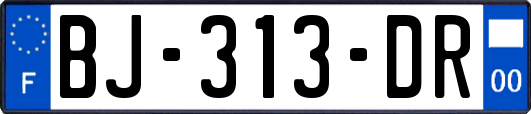 BJ-313-DR