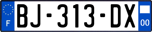 BJ-313-DX