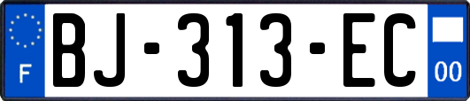 BJ-313-EC