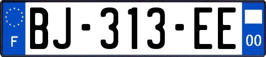 BJ-313-EE