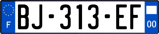 BJ-313-EF