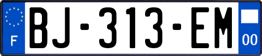 BJ-313-EM