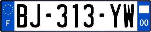 BJ-313-YW