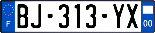 BJ-313-YX