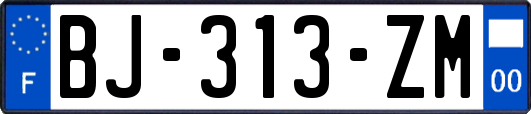 BJ-313-ZM