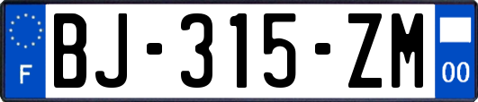 BJ-315-ZM