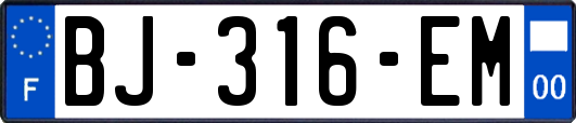 BJ-316-EM
